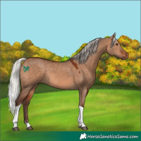 Horse Color:Silver Brown Dun Tobiano Rabicano 