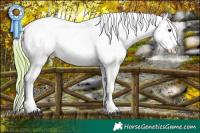 Horse Color:Watercolor Bay Dun Appaloosa 
