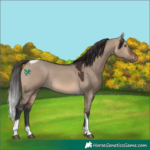 Horse Color:Brown Dun Tobiano 