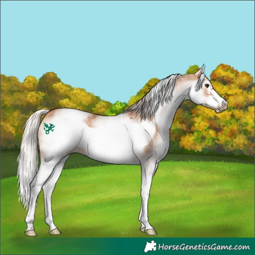 Horse Color:White Spotted Silver Bay Dun Frame 