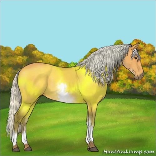 Horse Color:White Spotted Silver Buckskin 