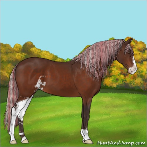 Horse Color:Painted Silver Brown Sabino Appaloosa