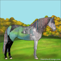 Horse Color:ERROR: UNKNOWN ANOMALY