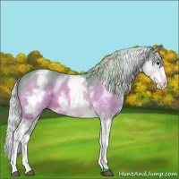 Horse Color:Watercolor White Spotted Silver Brown 