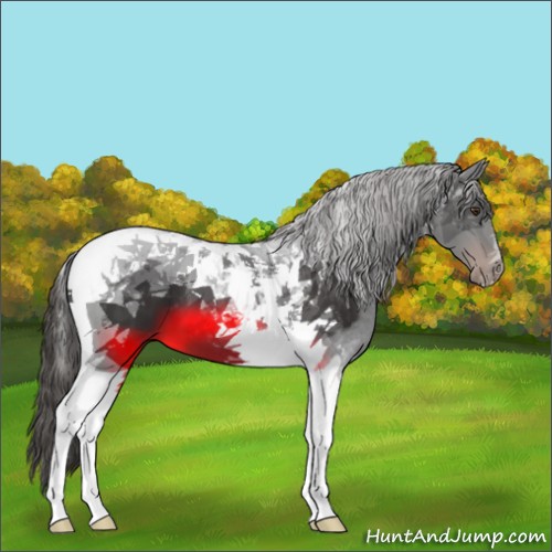 Horse Color:Liver Chestnut Tobiano 