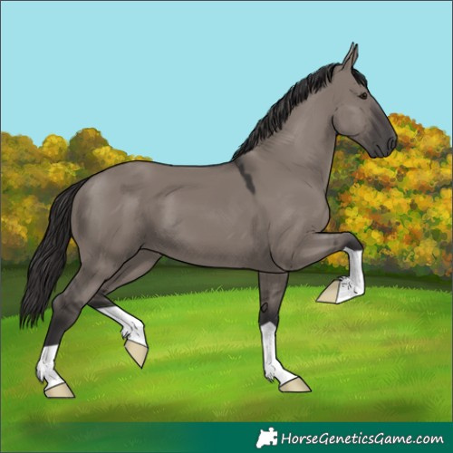 Horse Color:Smoky Grullo 