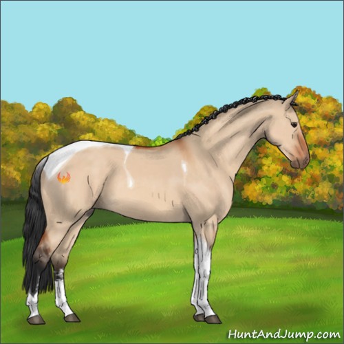 Horse Color:Brown Dun Sabino Tobiano 