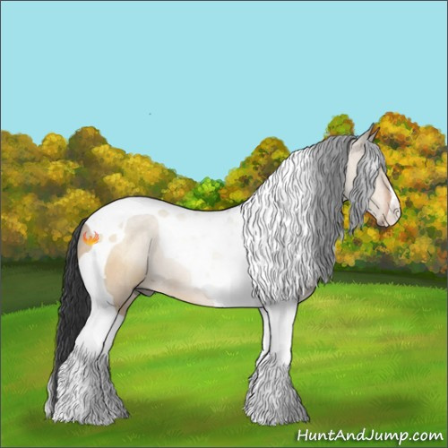 Horse Color:Brown Dun Tobiano Rabicano 