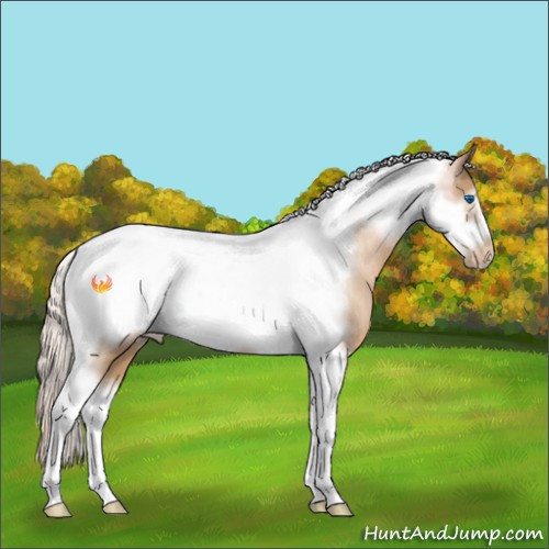 Horse Color:Silver Buckskin Pearl Tobiano Frame 