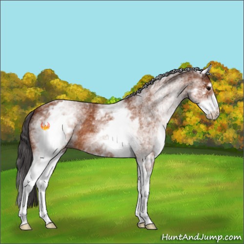 Horse Color:White Spotted Buckskin 