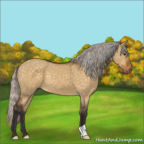Horse Color:Silver Buckskin Dun 
