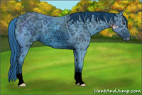 Horse Color:ERROR: UNKNOWN ANOMALY