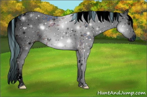 Horse Color:ERROR: UNKNOWN ANOMALY