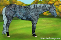 Horse Color:ERROR: UNKNOWN ANOMALY