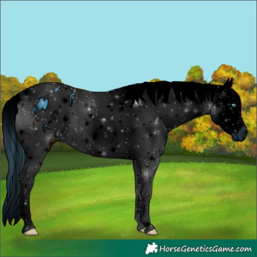 Horse Color:ERROR: UNKNOWN ANOMALY