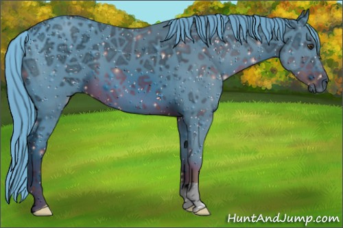 Horse Color:ERROR: UNKNOWN ANOMALY