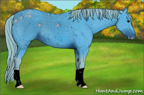 Horse Color:ERROR: UNKNOWN ANOMALY