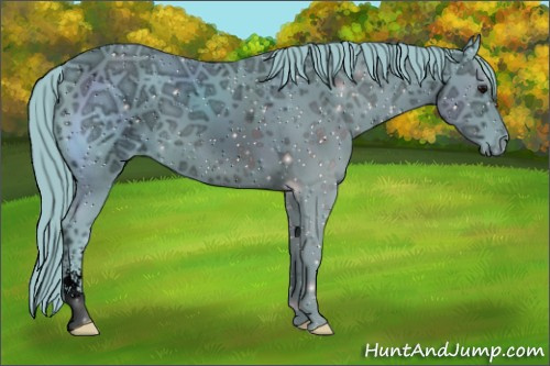 Horse Color:ERROR: UNKNOWN ANOMALY