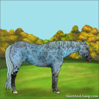 Horse Color:ERROR: UNKNOWN ANOMALY