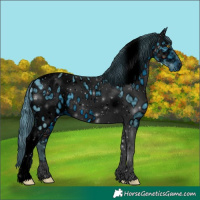Horse Color:ERROR: UNKNOWN ANOMALY
