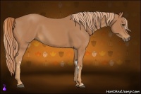 Horse Color:Chestnut Frame