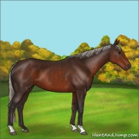 Horse Color:Silver Brown 