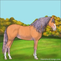 Horse Color:Painted Watercolor Chocolate Palomino Sabino
