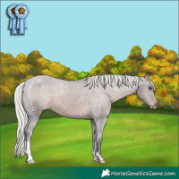 Horse Color:Silver Brown Varnish 
