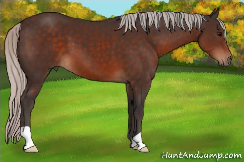 Horse Color:Silver Brown 