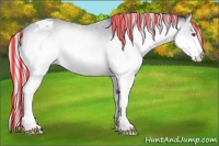 Horse Color:Painted Silver Brown Chinchilla Roan Splash Tobiano 
