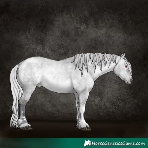 Horse Color:Silver Brown Chinchilla Dun Tobiano Rabicano 
