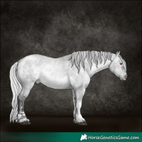 Horse Color:Silver Brown Chinchilla Dun Tobiano Rabicano