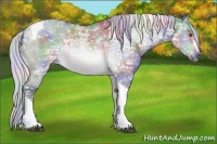 Horse Color:Nacre Silver Brown Chinchilla Ice Dun Sabino Tobiano