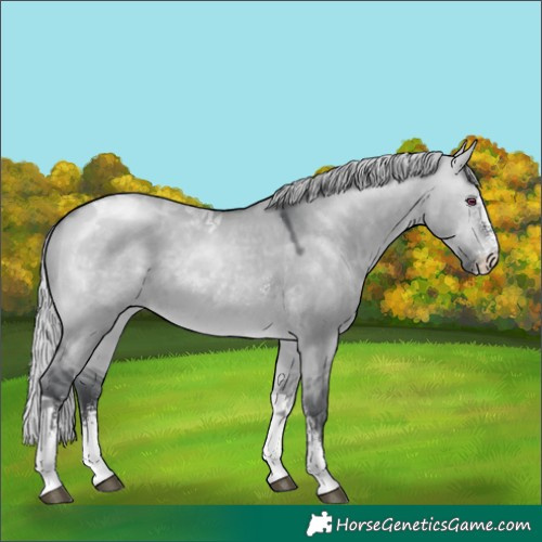 Horse Color:Silver Brown Chinchilla Dun Sabino Tobiano 