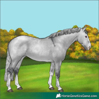 Horse Color:Silver Brown Chinchilla Dun Sabino Tobiano 