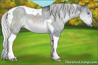 Horse Color:Silver Brown Chinchilla Dun Tobiano 