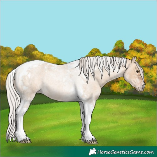 Horse Color:Silver Bay Roan Dun Tobiano Rabicano 