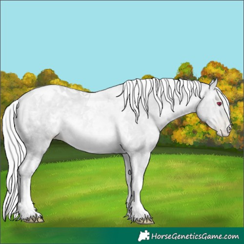 Horse Color:Silver Brown Chinchilla Pearl Tobiano 