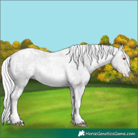 Horse Color:Silver Brown Chinchilla Pearl Tobiano 