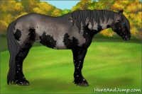 Horse Color:Void Blue Onyx Sabino Splash Tobiano 