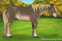 Horse Color:Painted Chocolate Palomino Mushroom Rabicano