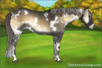 Horse Color:White Spotted Chocolate Palomino Onyx Mushroom 
