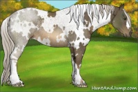 Horse Color:White Spotted Chocolate Palomino Mushroom Rabicano 