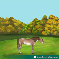 Horse Color:Brown Pearl 