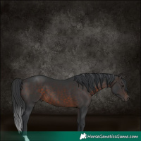 Horse Color:Brown 