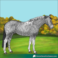 Horse Color:Brown Chinchilla Ice Onyx Tobiano 