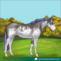 Horse Color:Painted White Spotted Liver Chestnut Mushroom Sabino Rabicano 