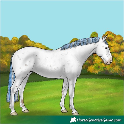 Horse Color:Painted Liver Chestnut Mushroom Sabino