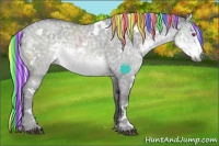 Horse Color:Painted White Spotted Silver Smoky Grullo Chinchilla Ice 