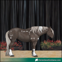 Horse Color:White Spotted Silver Black Tobiano